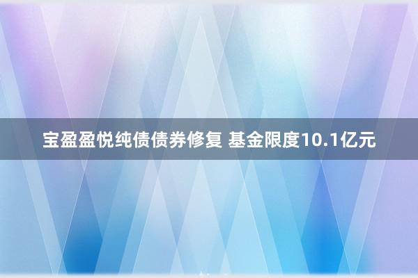 宝盈盈悦纯债债券修复 基金限度10.1亿元