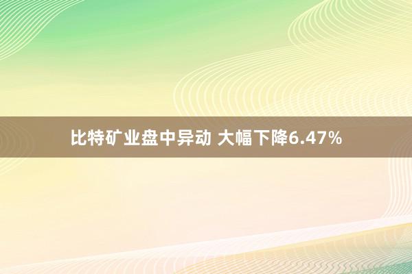 比特矿业盘中异动 大幅下降6.47%