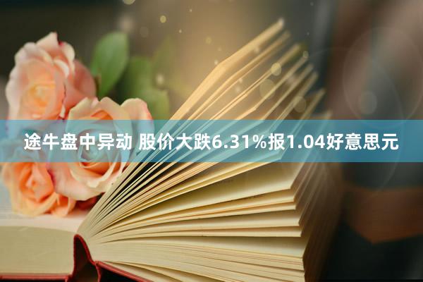 途牛盘中异动 股价大跌6.31%报1.04好意思元