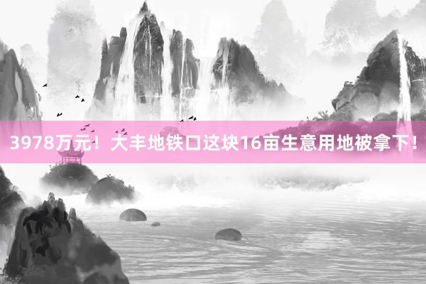 3978万元！大丰地铁口这块16亩生意用地被拿下！