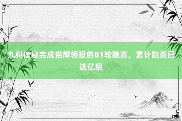 九科信息完成诺辉领投的B1轮融资，累计融资已达亿级