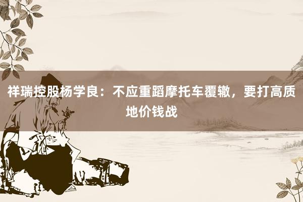 祥瑞控股杨学良：不应重蹈摩托车覆辙，要打高质地价钱战