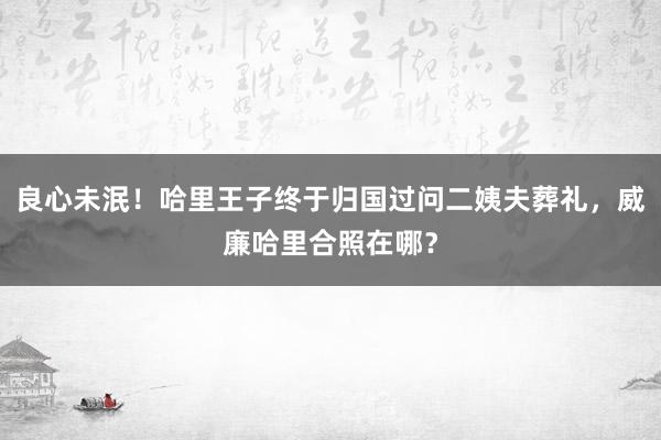 良心未泯！哈里王子终于归国过问二姨夫葬礼，威廉哈里合照在哪？