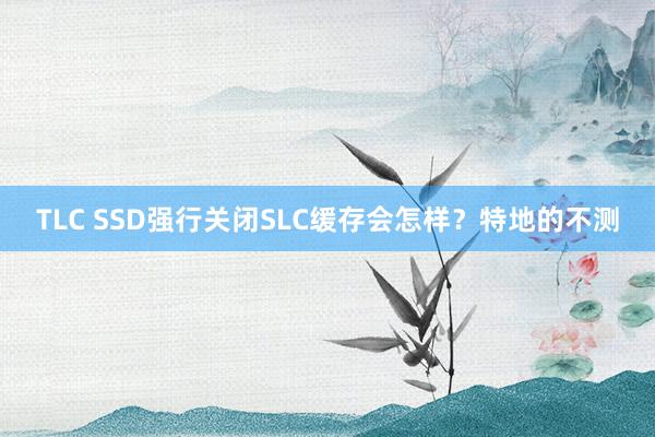 TLC SSD强行关闭SLC缓存会怎样？特地的不测