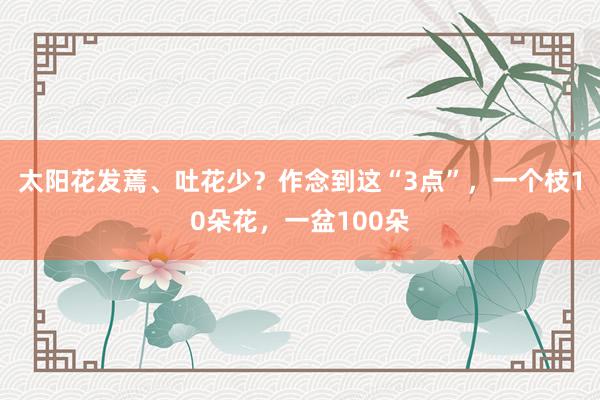 太阳花发蔫、吐花少？作念到这“3点”，一个枝10朵花，一盆100朵