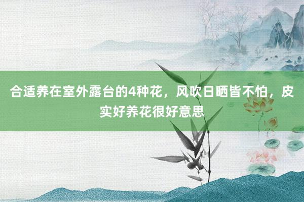 合适养在室外露台的4种花，风吹日晒皆不怕，皮实好养花很好意思