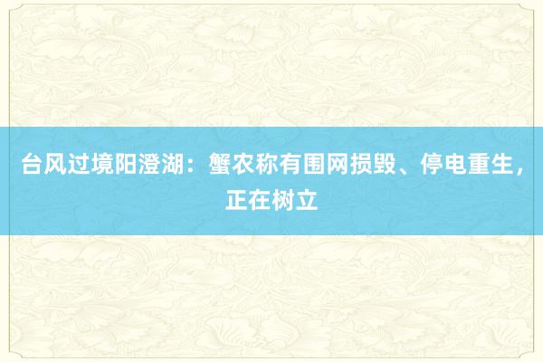 台风过境阳澄湖：蟹农称有围网损毁、停电重生，正在树立