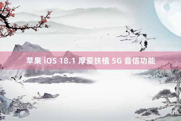 苹果 iOS 18.1 厚爱扶植 5G 音信功能