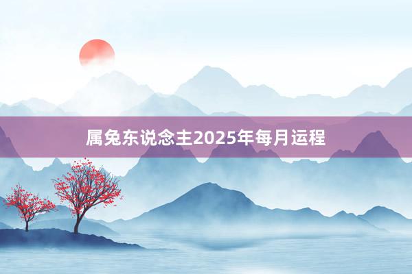 属兔东说念主2025年每月运程