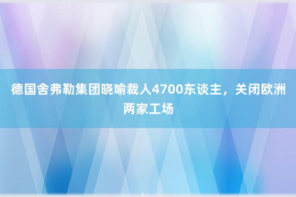 德国舍弗勒集团晓喻裁人4700东谈主，关闭欧洲两家工场