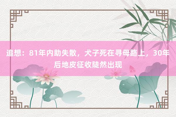 追想：81年内助失散，犬子死在寻母路上，30年后地皮征收陡然出现