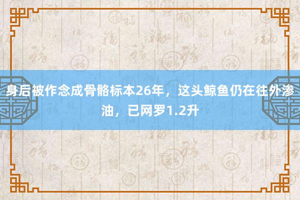 身后被作念成骨骼标本26年，这头鲸鱼仍在往外渗油，已网罗1.2升